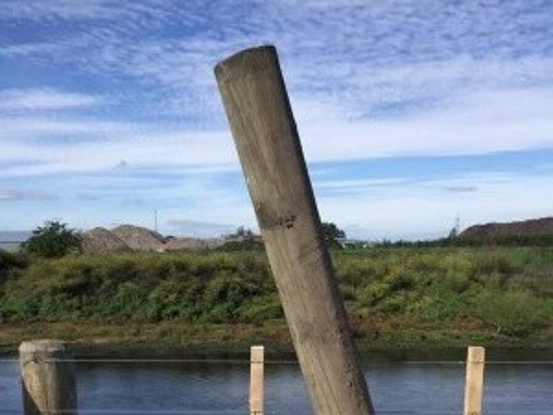 Livestock management