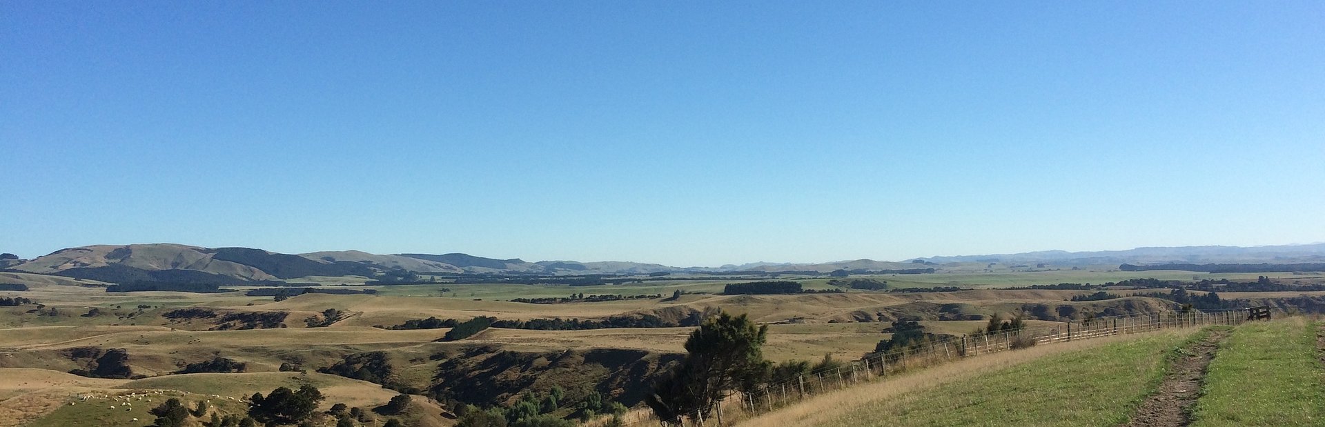 Hawke's Bay farmland